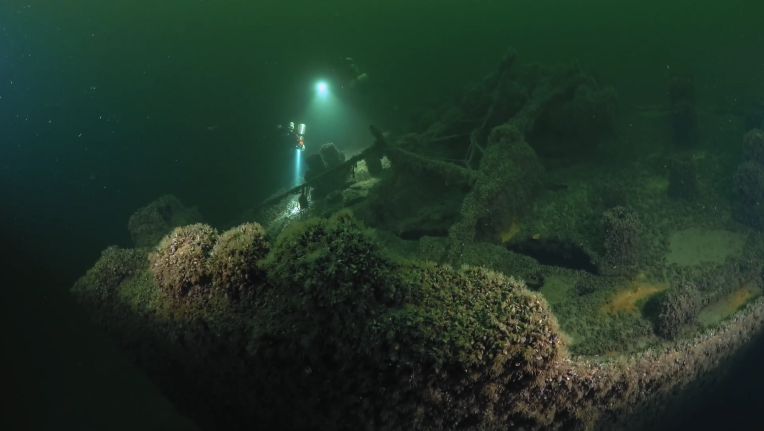 Screenshot 2026-03-31 at 16.11.41